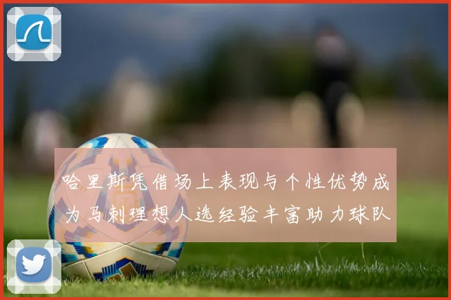 哈里斯凭借场上表现与个性优势成为马刺理想人选经验丰富助力球队发展