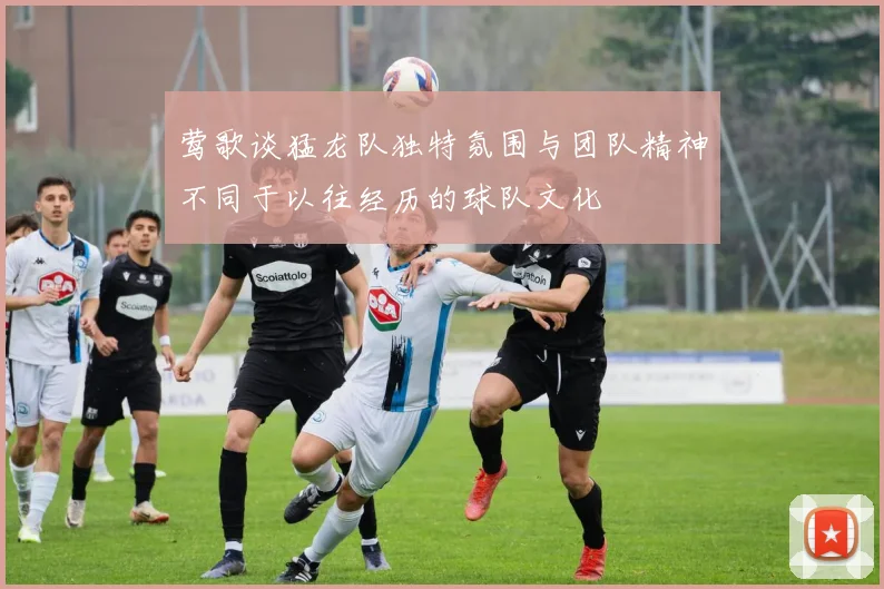 莺歌谈猛龙队独特氛围与团队精神不同于以往经历的球队文化